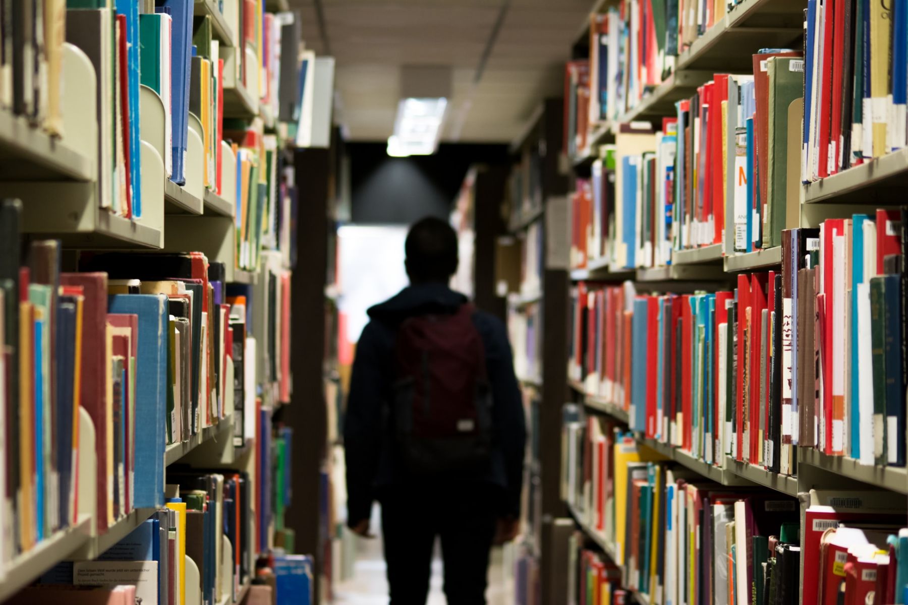 A student in the school library (Photo: Redd on Unsplash)