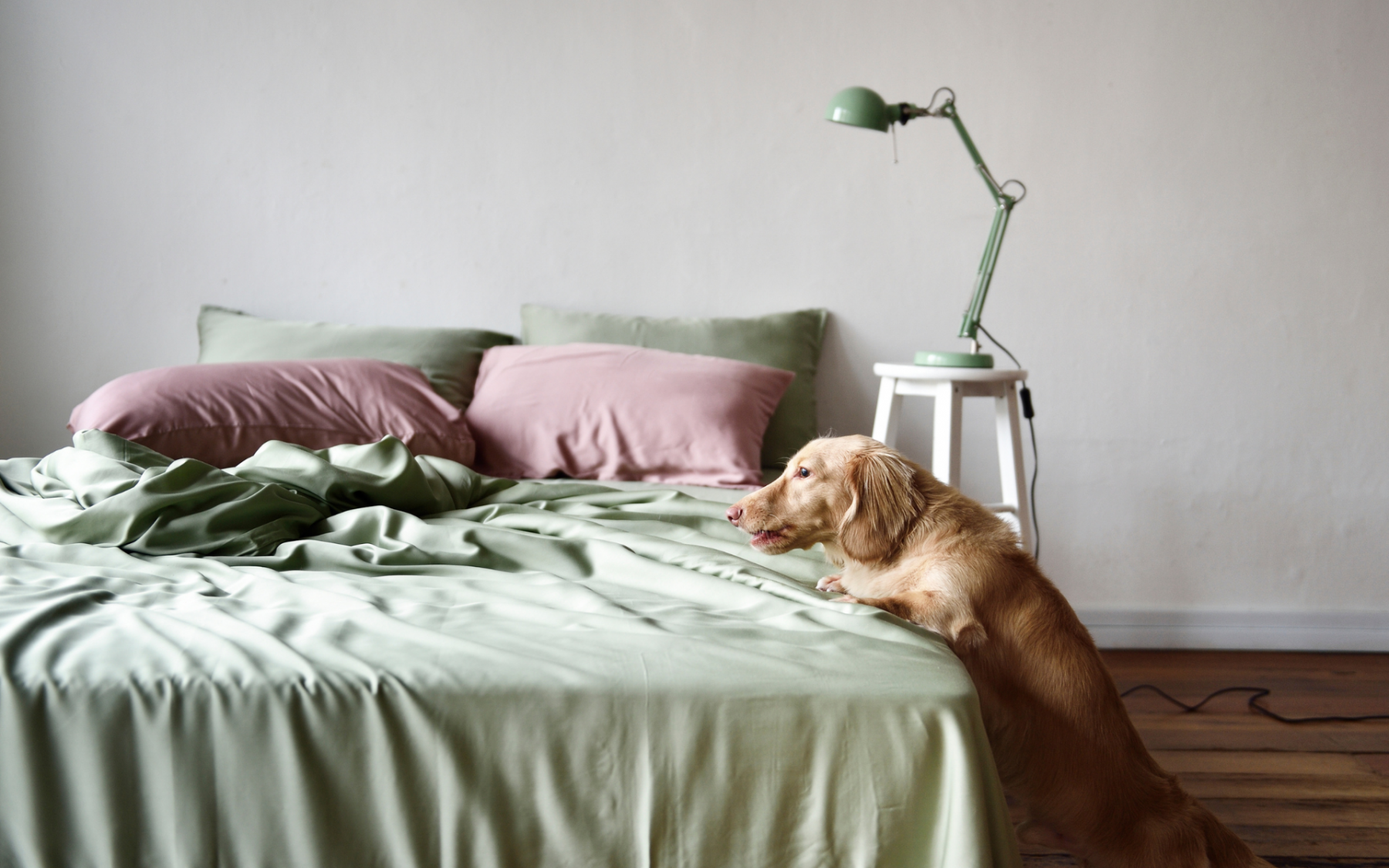 Sunday Bedding allows you to build your own personalised colour combinations