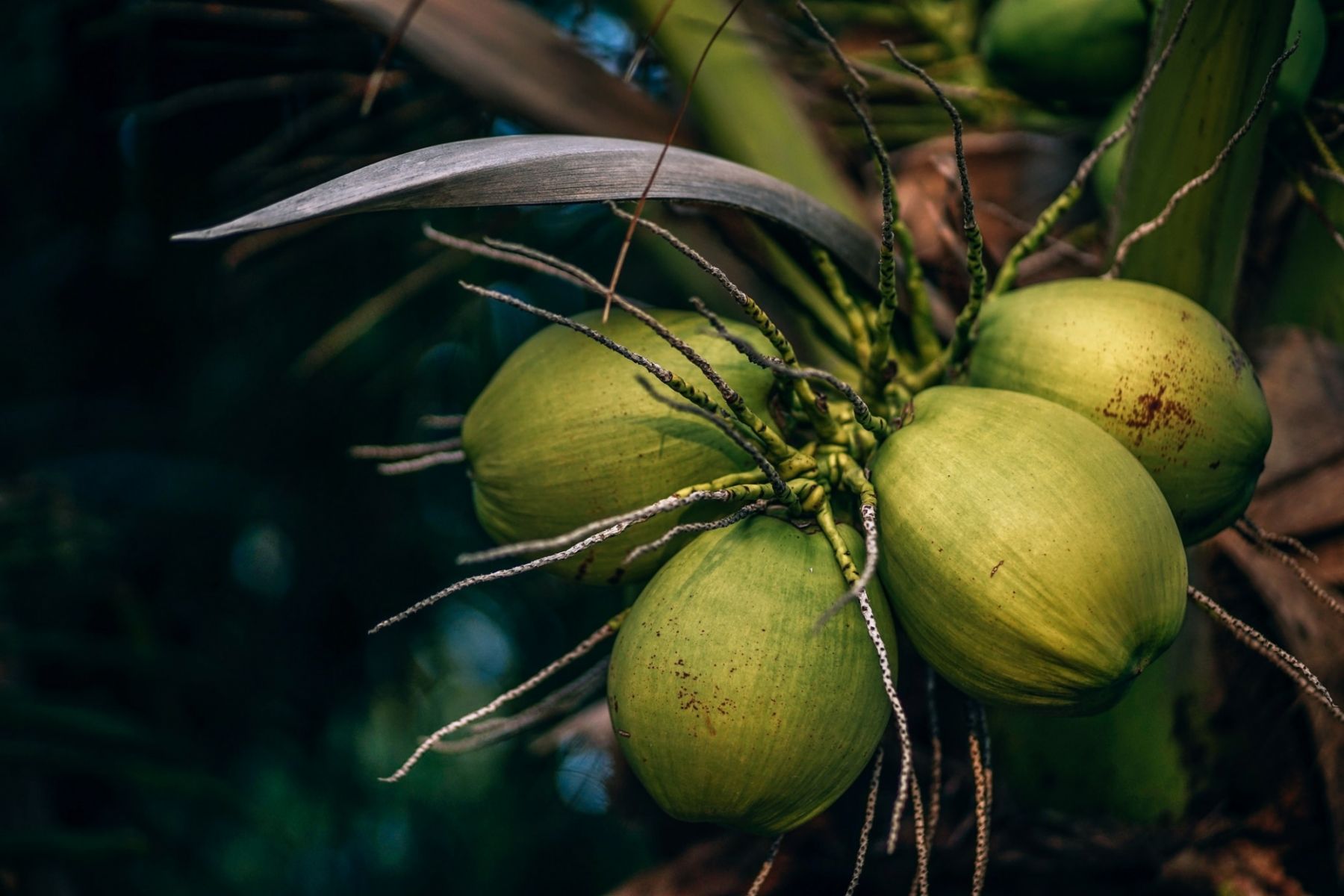 (Photo: Nipanan Lifestyle/Unsplash)
