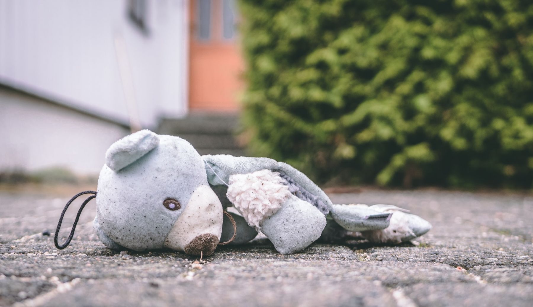 (Photo: Trym Nilsen/Unsplash)