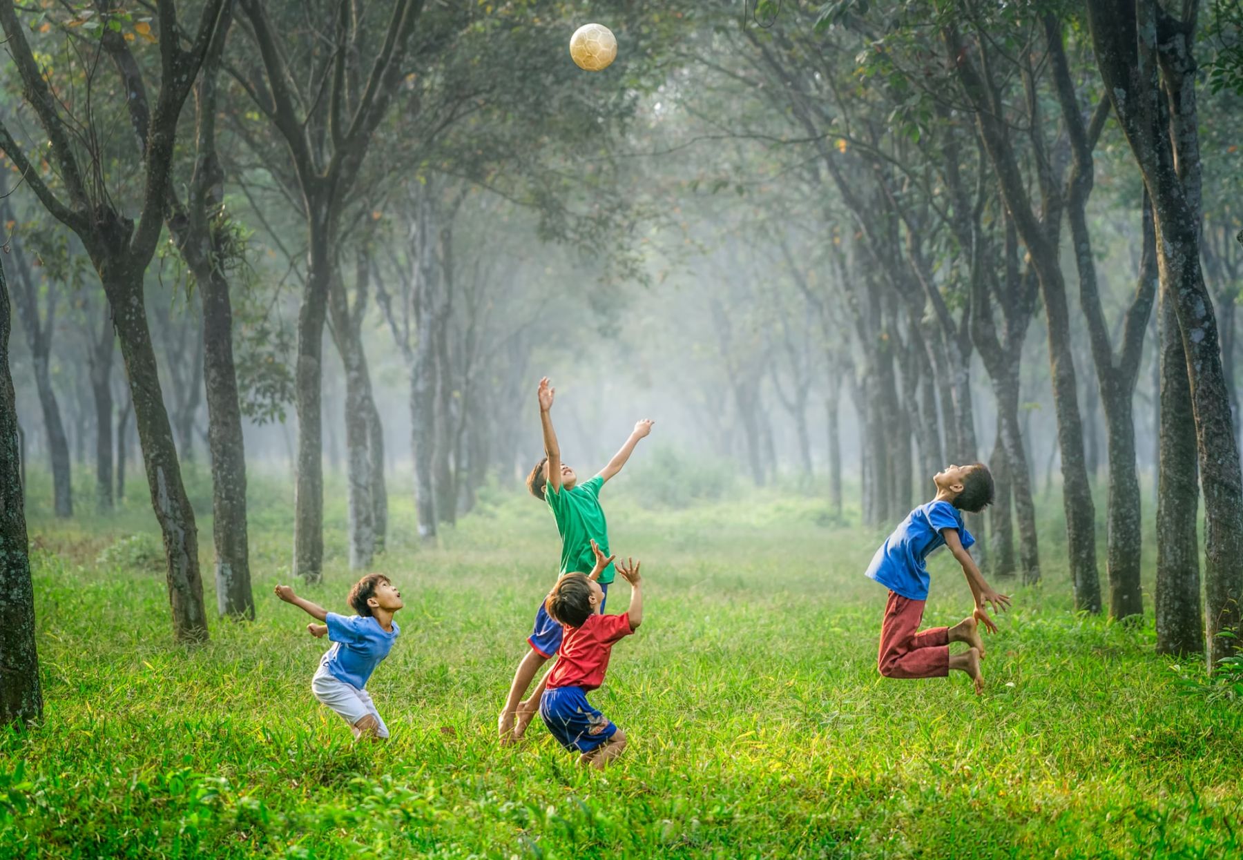 (Photo: Robert Collins/Unsplash)