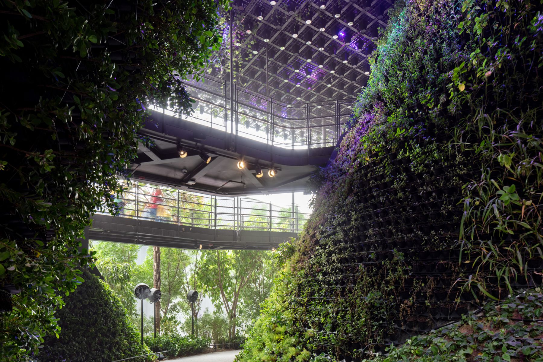 The pavilion houses more than 170 varieties of plants