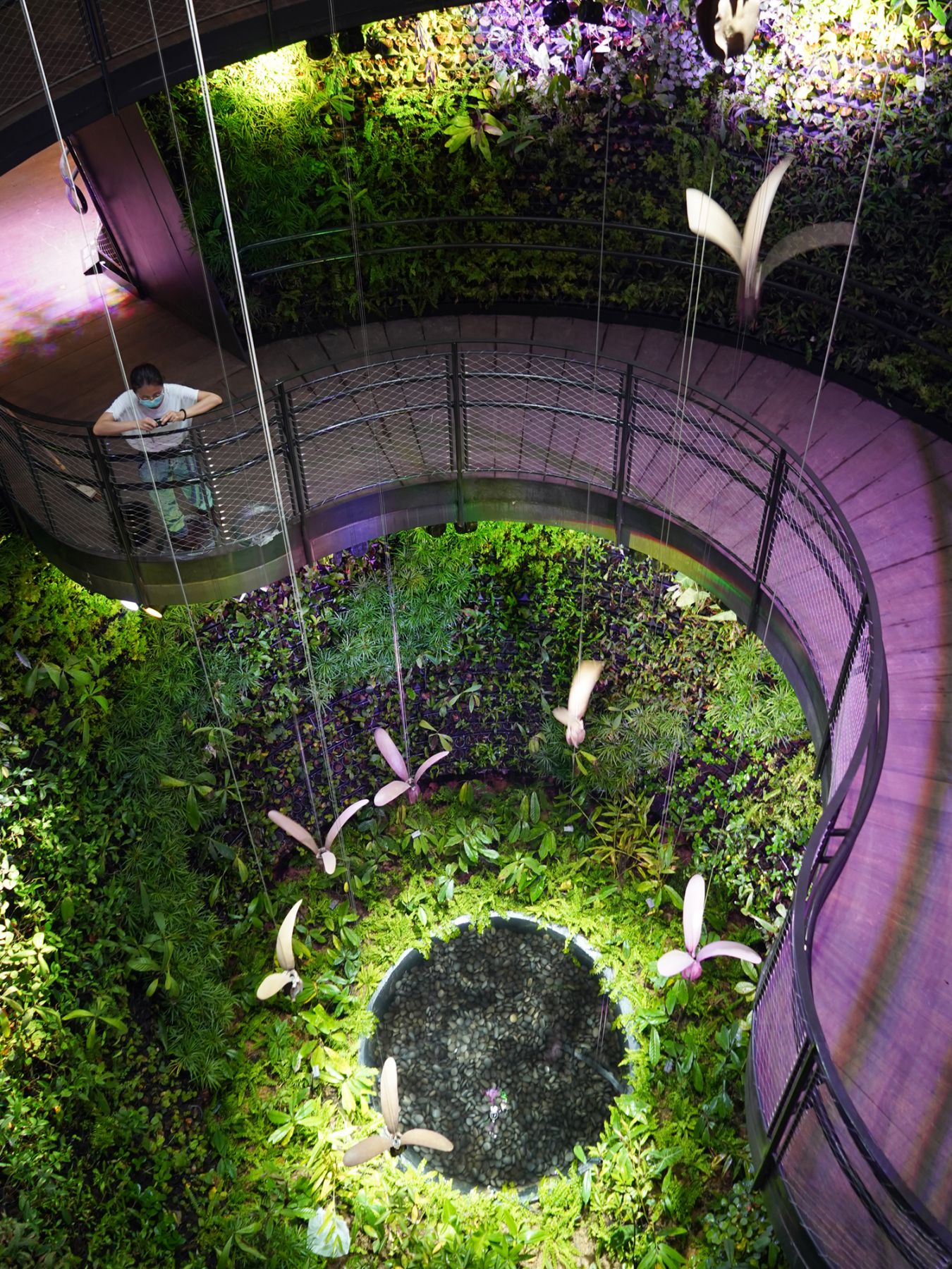 The Rainforest Cone, one of the three thematic cones at the Singapore Pavilion, Expo 2020 Dubai