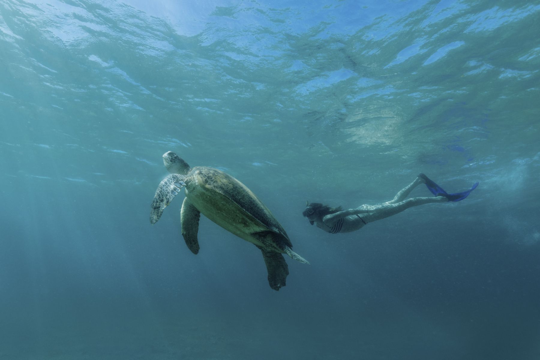 Amanpulo, Philippines - Watersport, Snorkeling 1