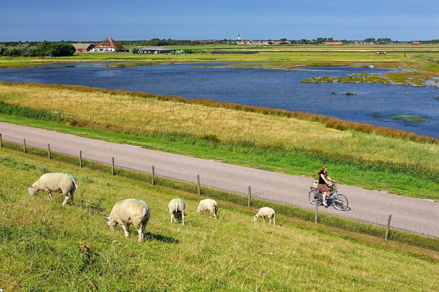 Countryside on the island of Texel in the Netherlands