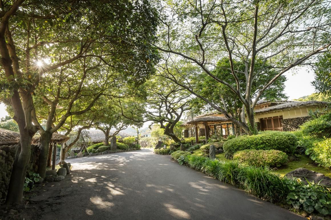 The Seaes Hotel & Resort Jeju offers a tranquil respite from bustling city life (Image: The Seaes Hotel & Resort Jeju)