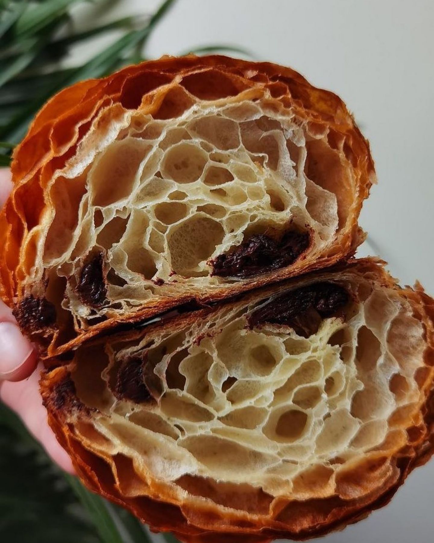 Ijo Bakery Pain Au Chocolat