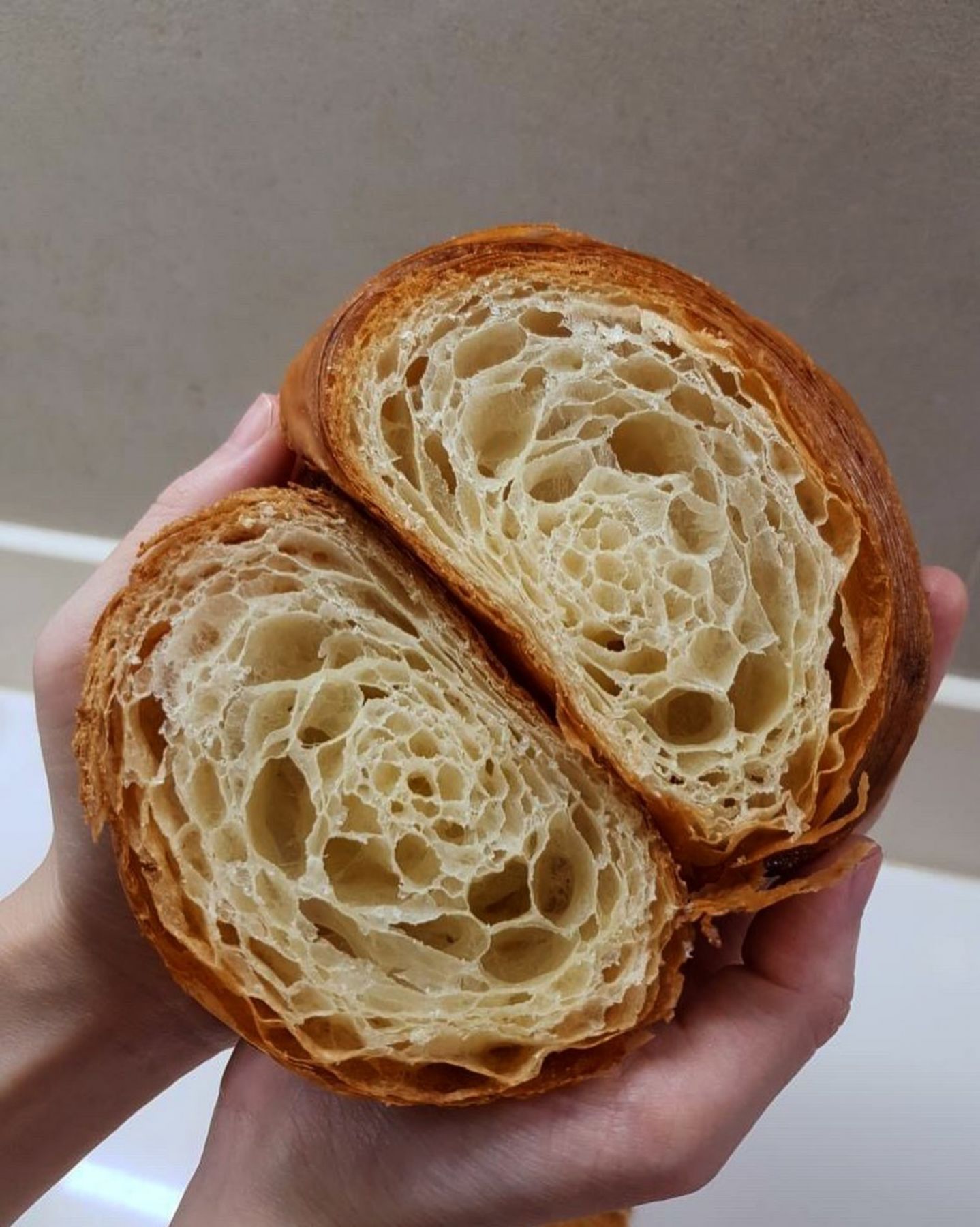 Ijo Bakery Croissant Cross Section