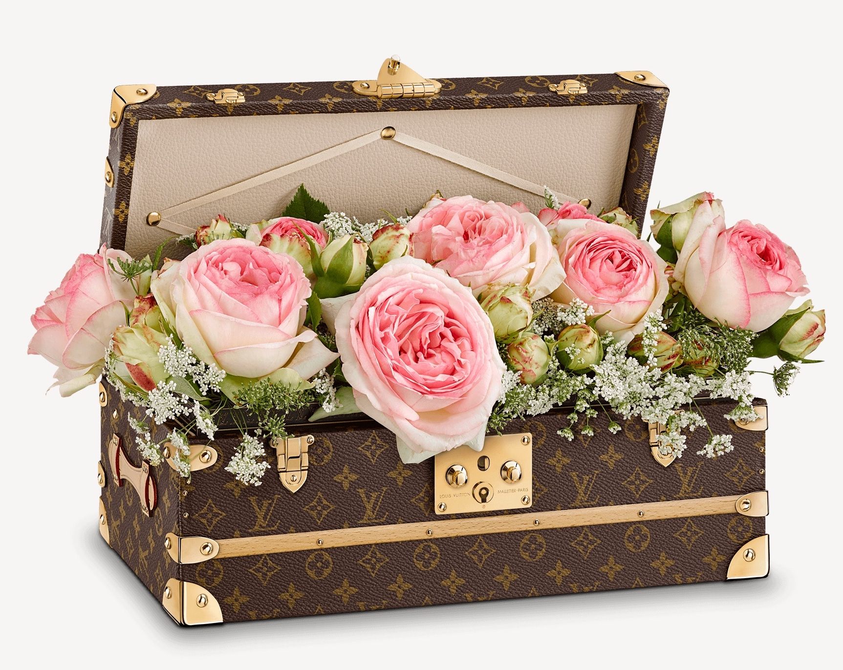 ap.louisvuitton.com