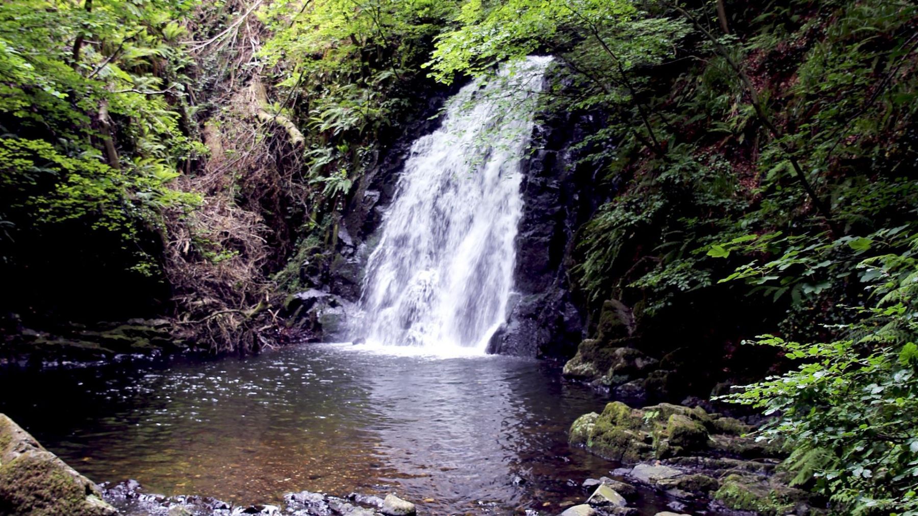 Glenoe Waterfall (Photo: Discover Northern Ireland)