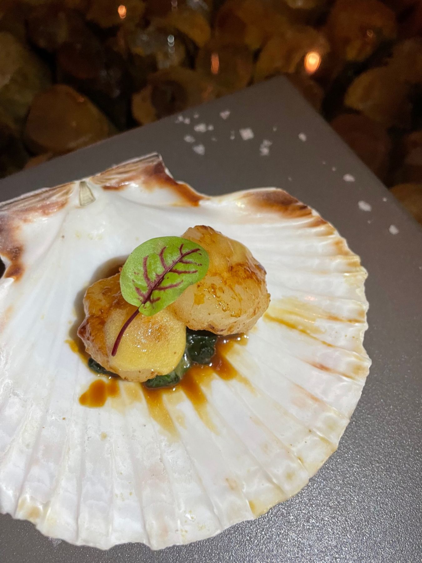 Kobe Jones Scallop