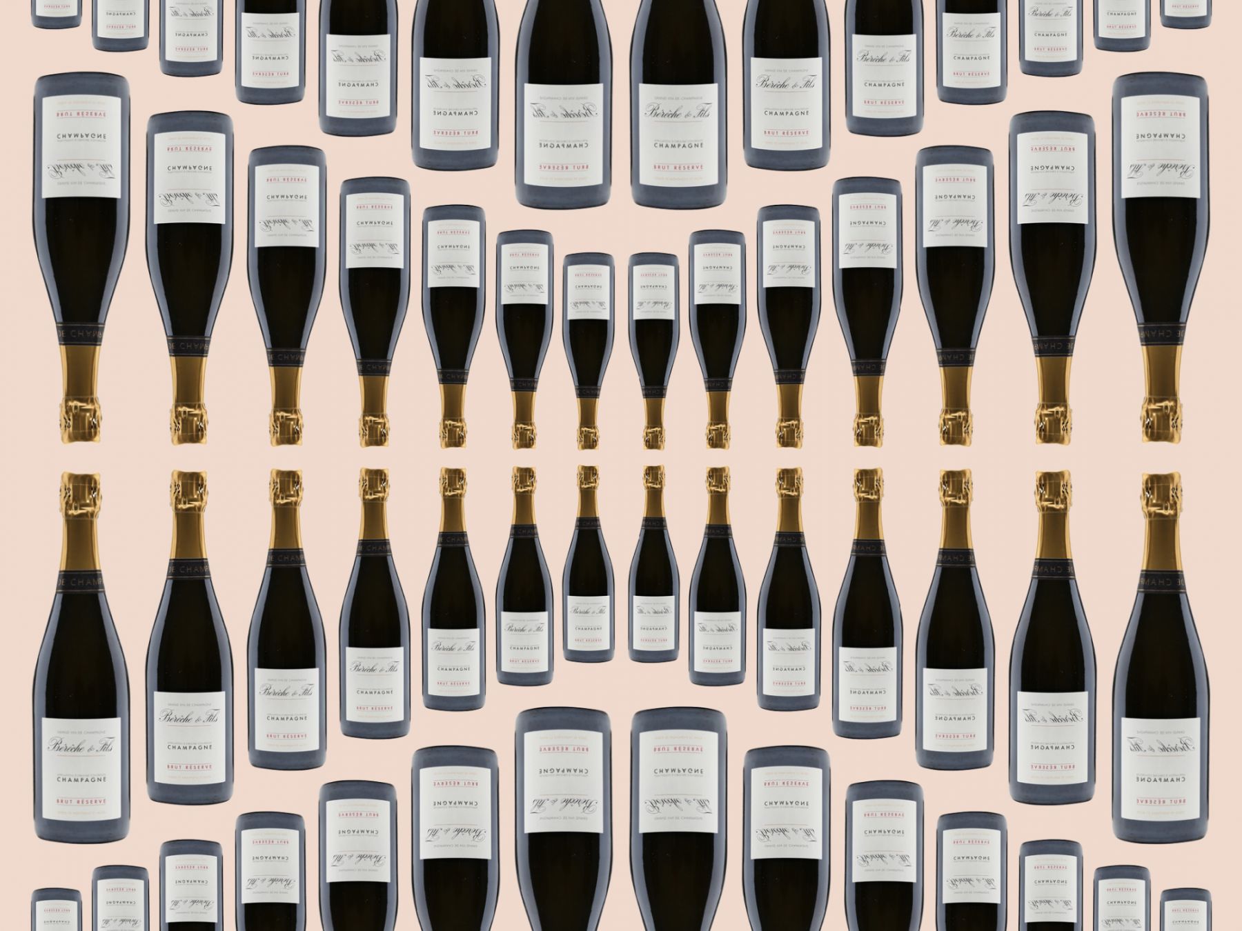 Bérêche et Fils Rive Gauche Premier Cru 2016