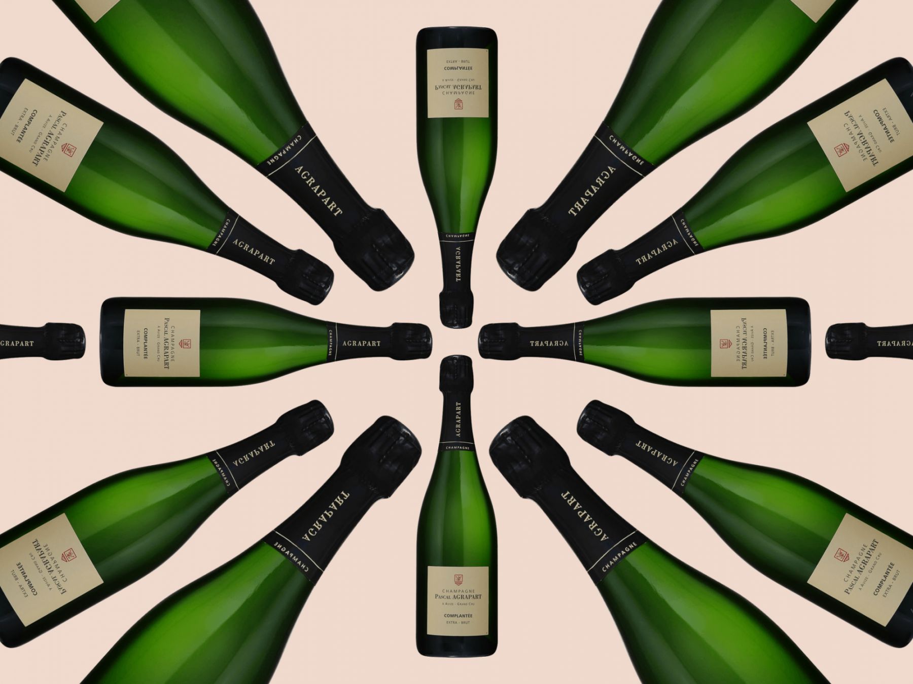 Pascal Agrapart Complantée Extra Brut à Avize Grand Cru NV