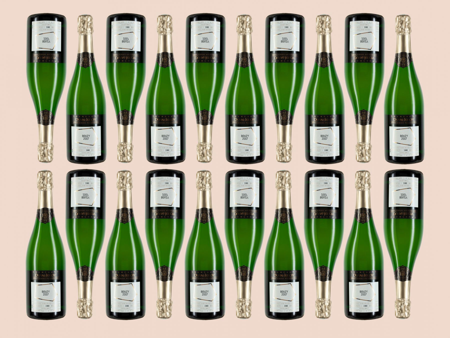Duval-Leroy Bouzy Grand Cru Extra Brut 2007