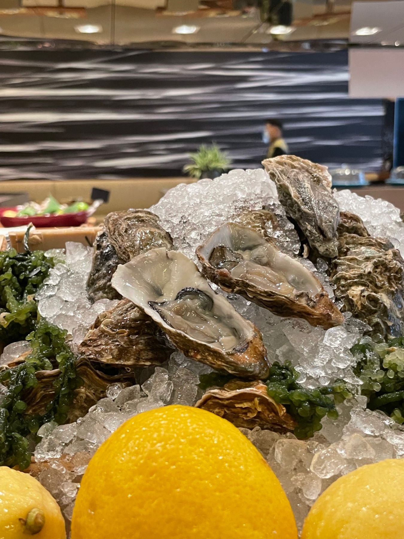 Yakumi's dedicated oyster station