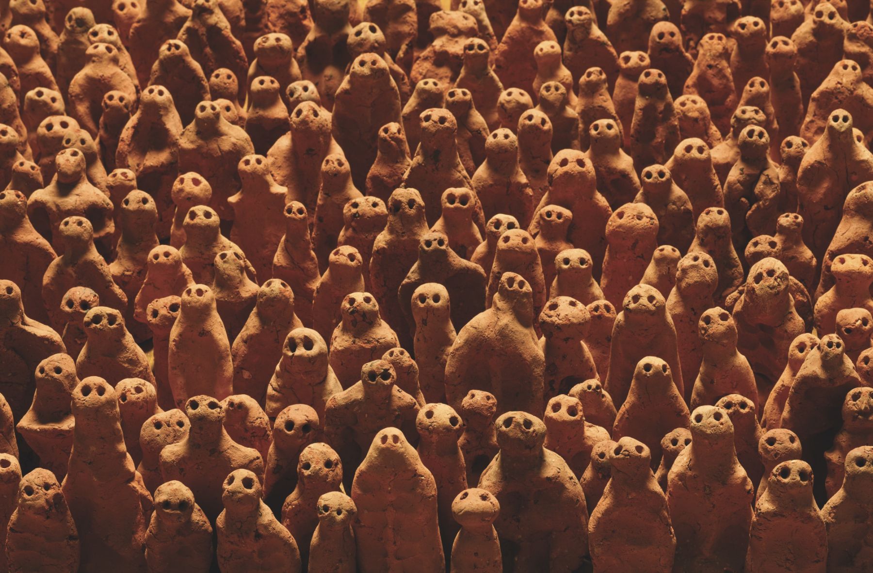 Asian Field by Antony Gormley