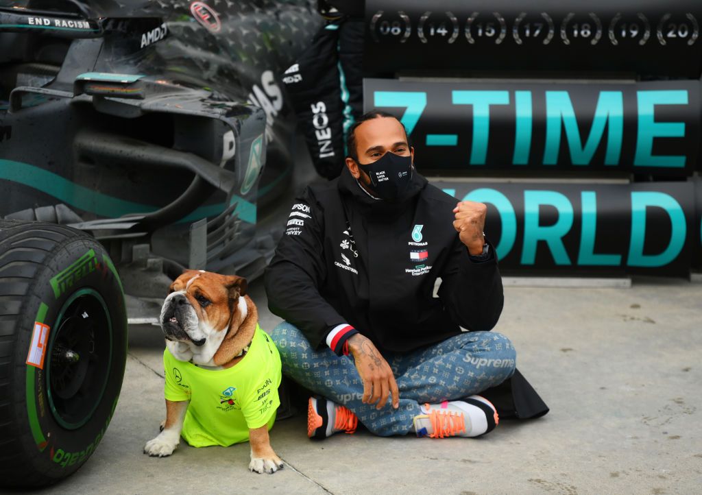 ISTANBUL, TURKEY - NOVEMBER 15: Race winner Lewis Hamilton of Great Britain and Mercedes GP celebrates winning a 7th F1 World Drivers Championship with his dog Roscoe in the Pitlane after the F1 Grand Prix of Turkey at Intercity Istanbul Park on November 15, 2020 in Istanbul, Turkey. (Photo by Clive Mason/Getty Images)
