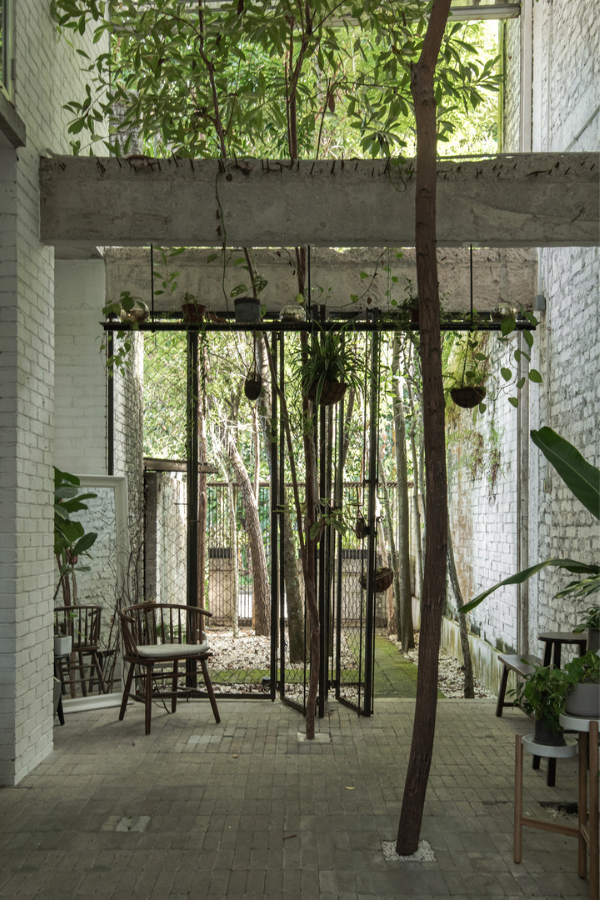 The renovated house has an effortless natural beauty