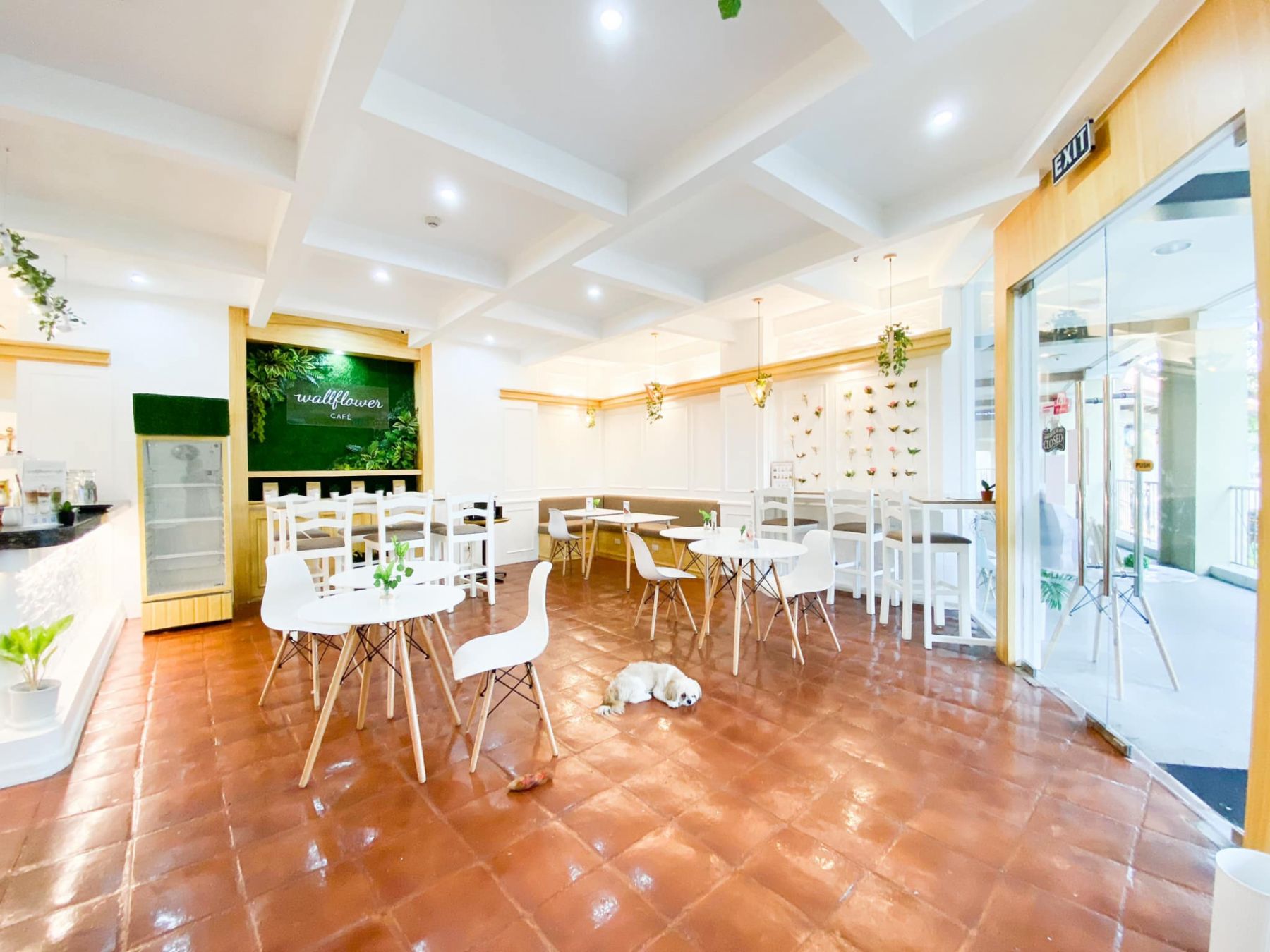 Petfriendly Cafe And Restaurants Around Metro Manila Arabica, The