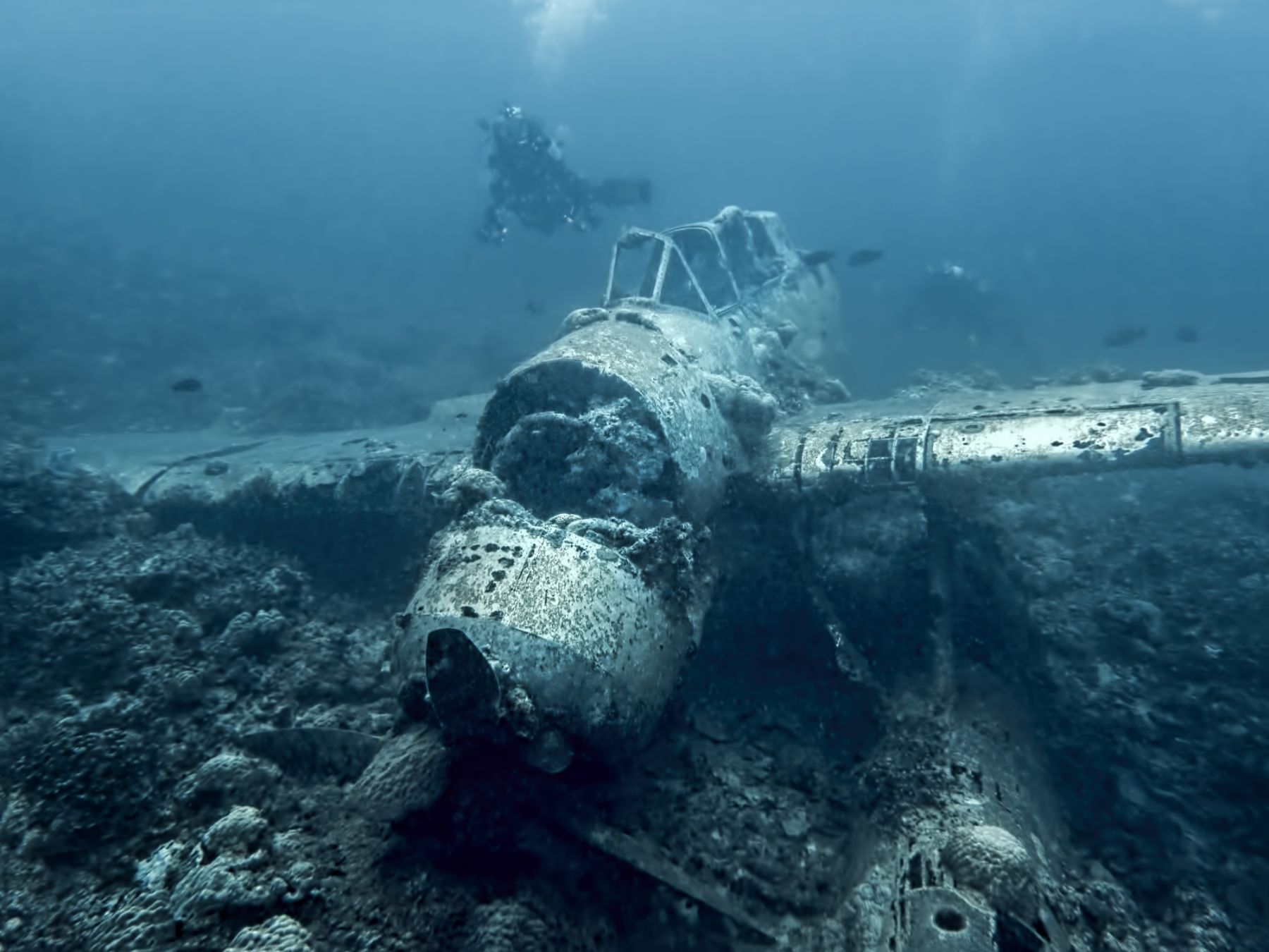 Jake Seaplane wreck from World War 2 sits on ocean floor underwater in Palau, Micronesia.