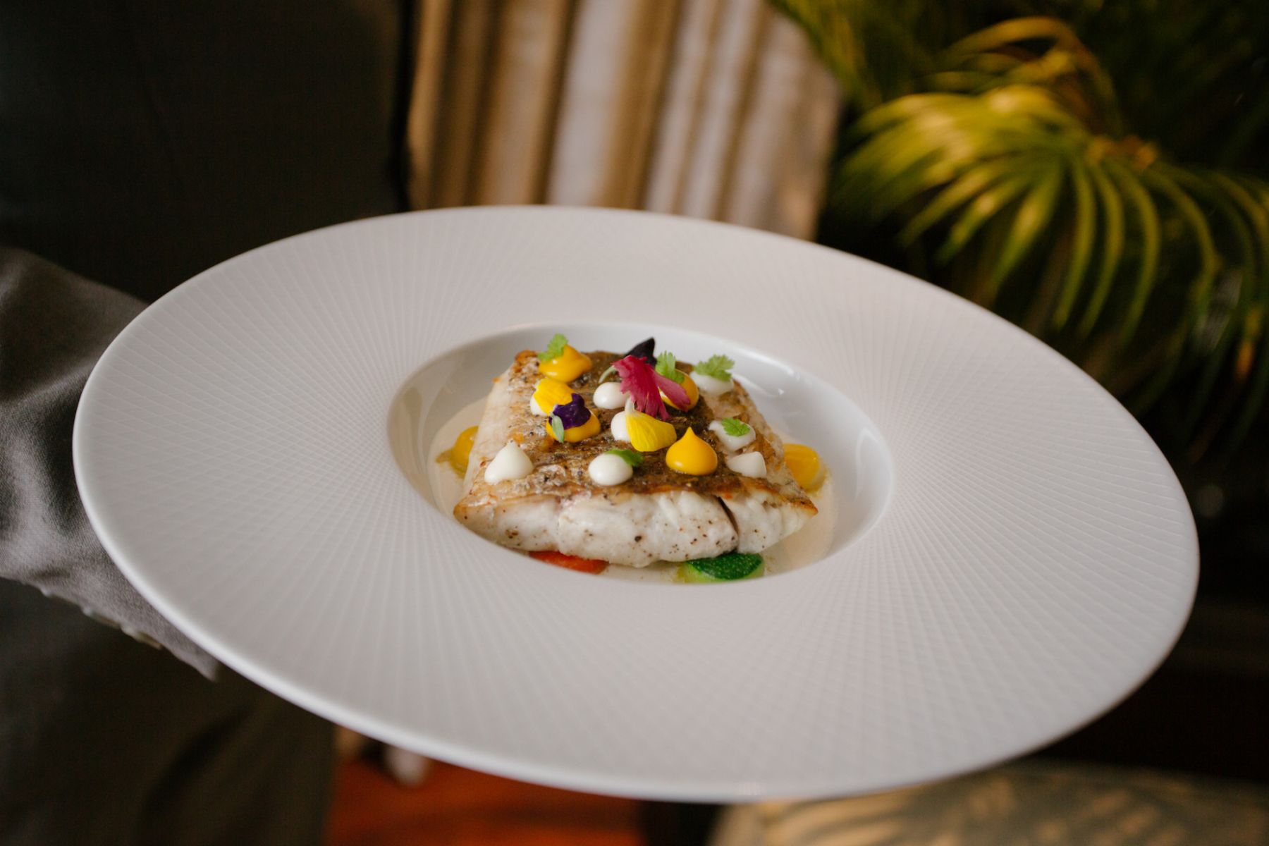 Barramundi with white onion cream, pumpkin puree, leek fondue, vegetable pearl and cream sauce