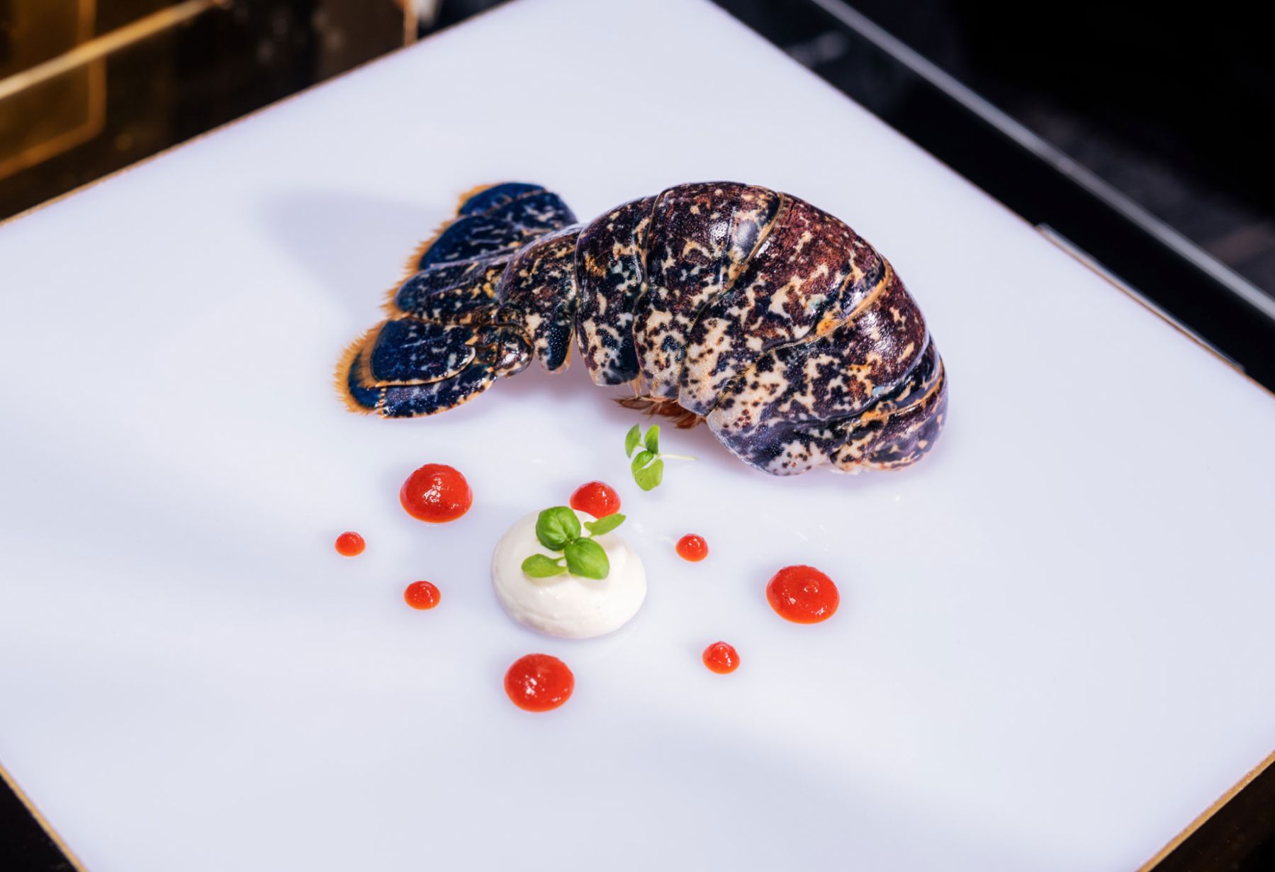 Exquisite eats for the night from Chef Yogi of Flour