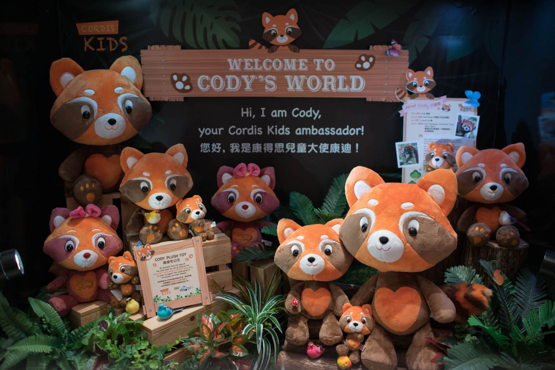 5. Cody the red panda plush toy 小熊貓康迪玩偶