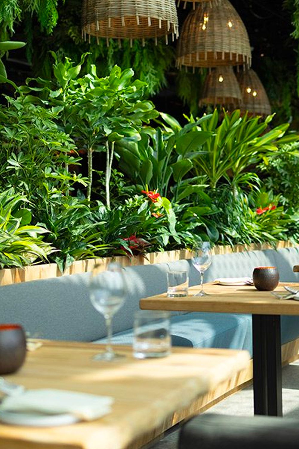 Decorated with lush and bright foliage, the restaurant exudes a peaceful setting (Image: Dusit Thani Laguna)