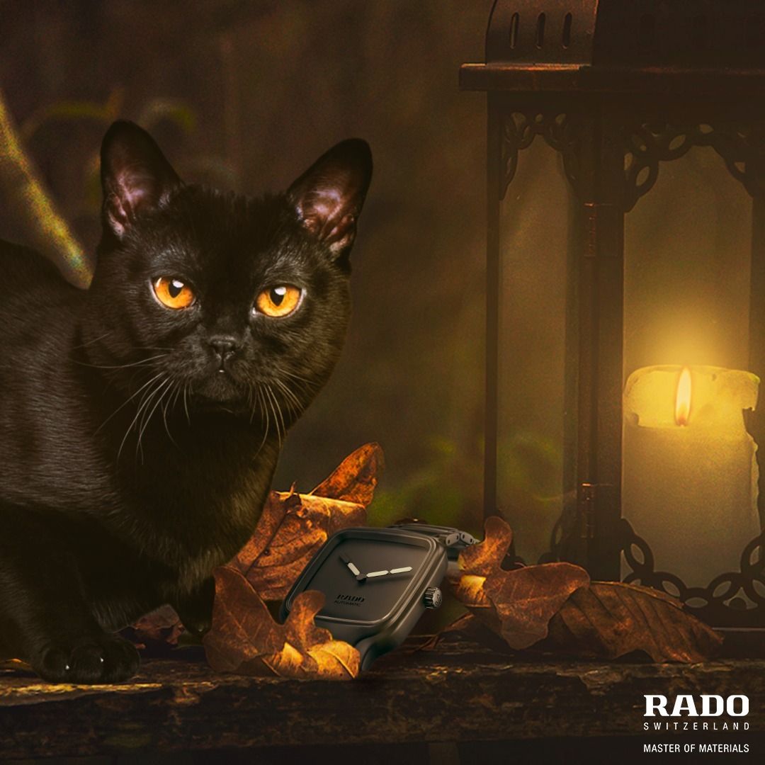 True Square真我方形系列高科技陶瓷Undigital特別版與寵貓一起賣萌。Photo via RADO official IG