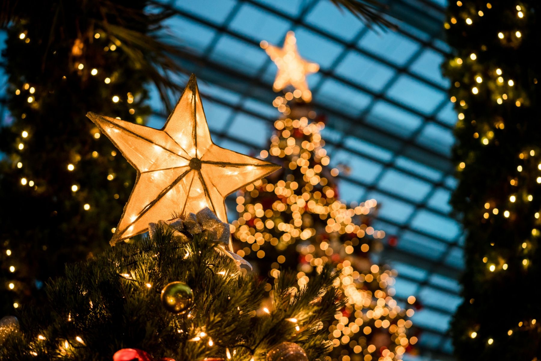 (Photo: Jonathan Chng/Unsplash)