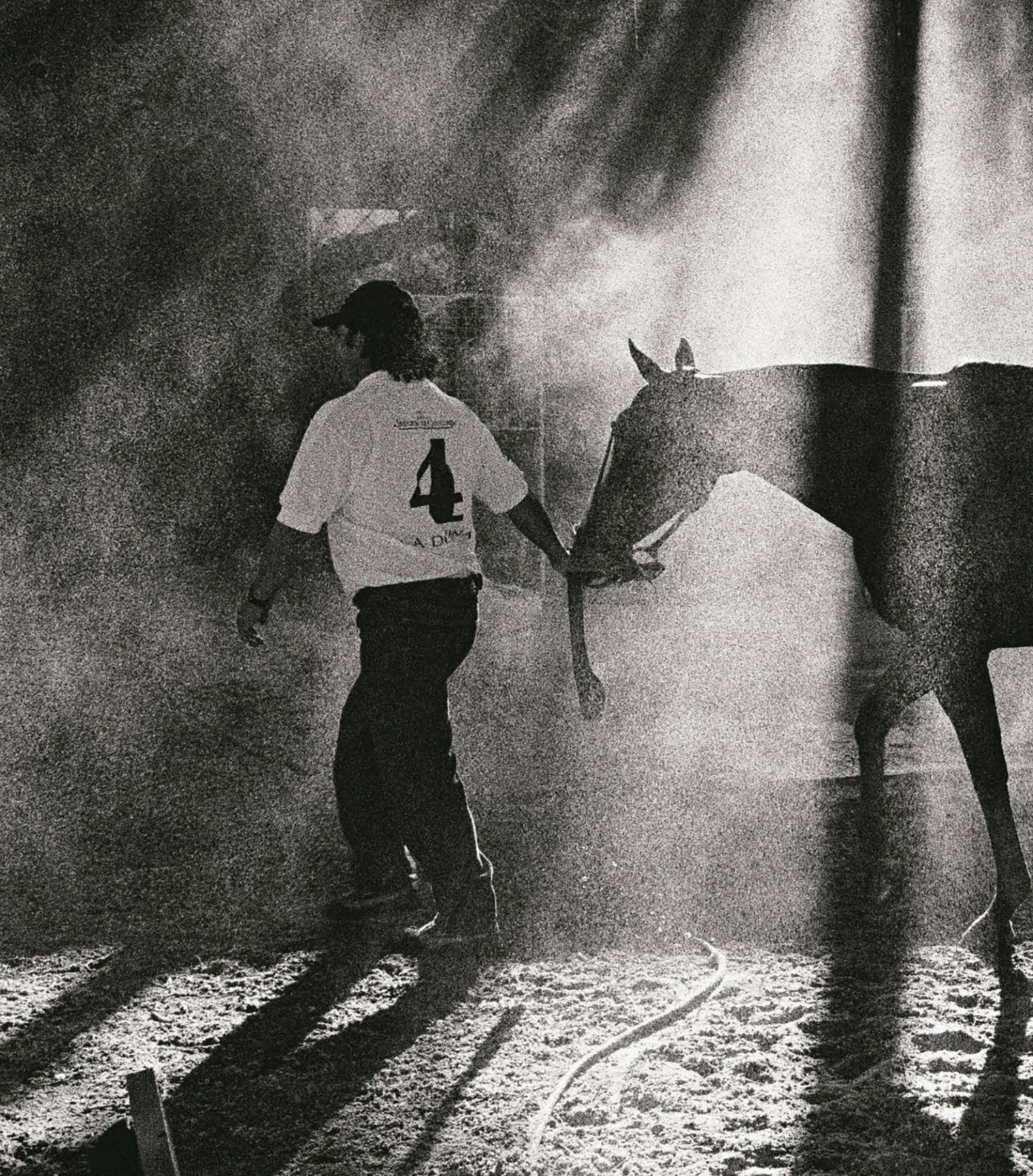 Aiken Cura, one of Adolfo Cambiaso’s most famous stallions, at the Palermo polo stadium in Buenos Aires, Argentina, 2006
