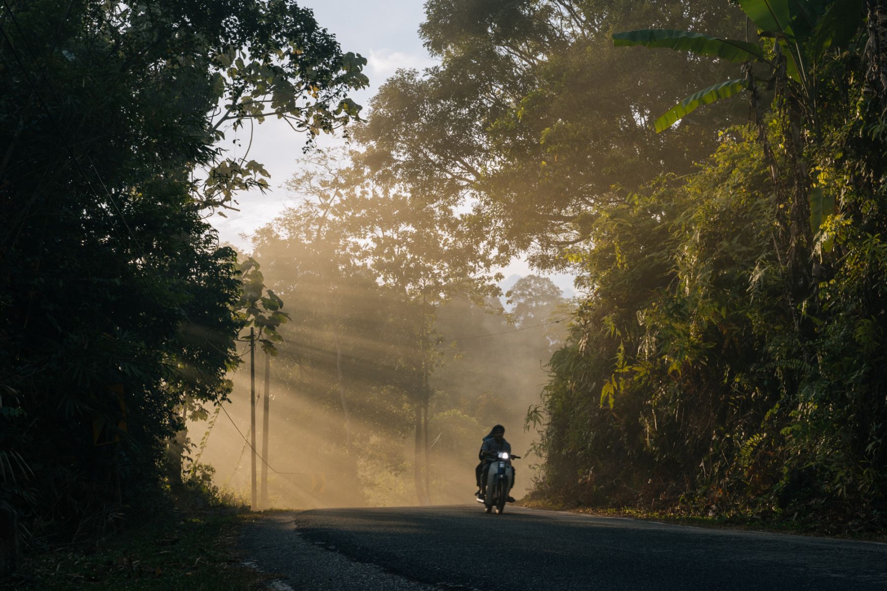 The winding road up to Janda Baik