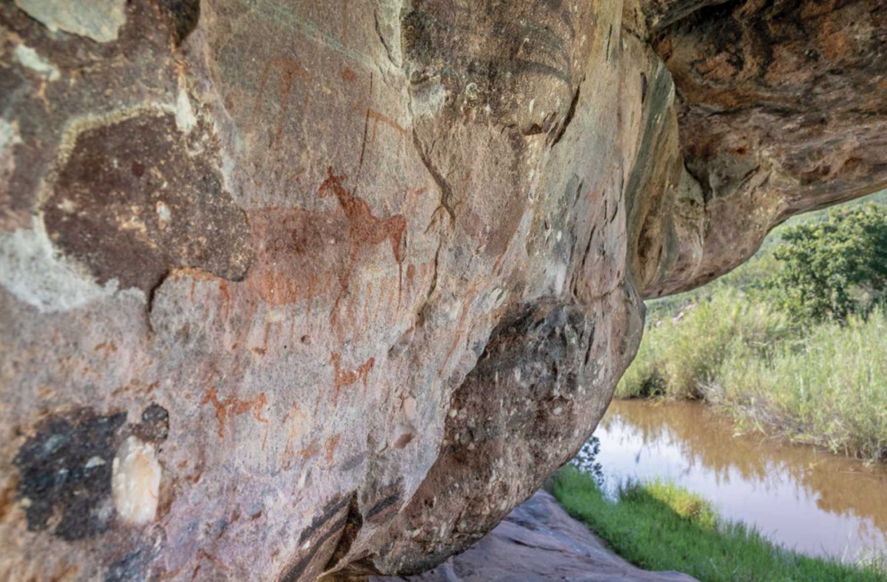 Ancient hand rock paintings in hidden caves are treasured finds during walking safaris
