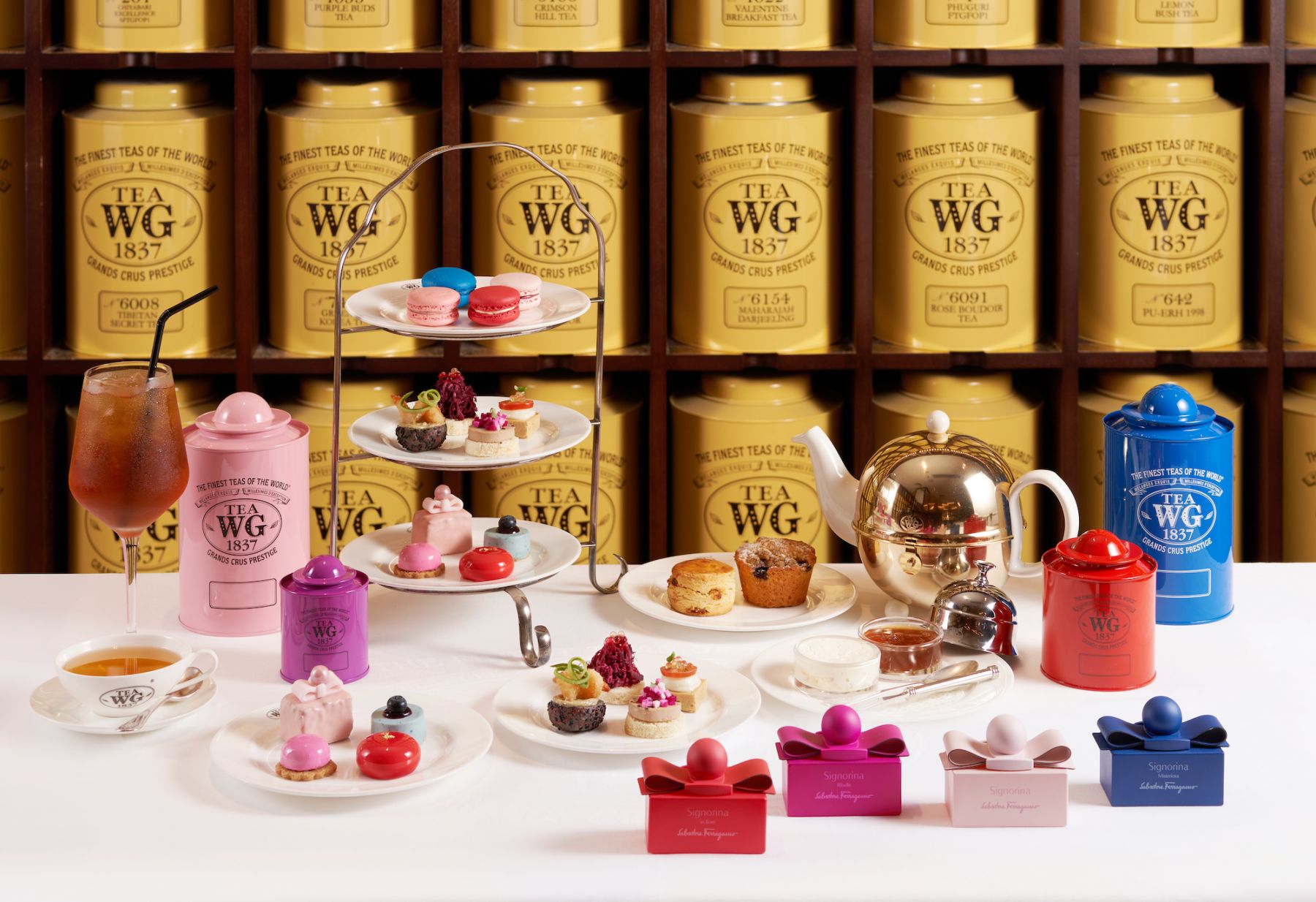 Tea WG X Salvatore Ferragamo