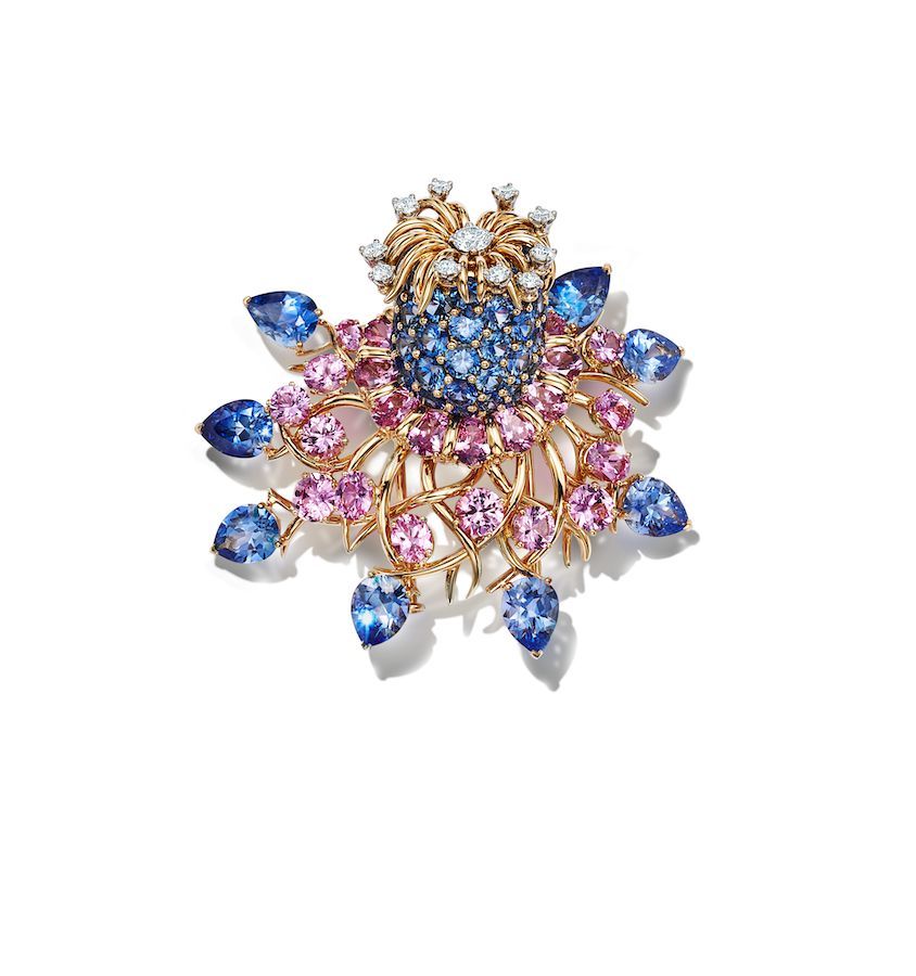 Tiffany & Co. Schlumberger Ancolie clip in 18k yellow gold with sapphires, pink sapphires, and brilliant diamonds