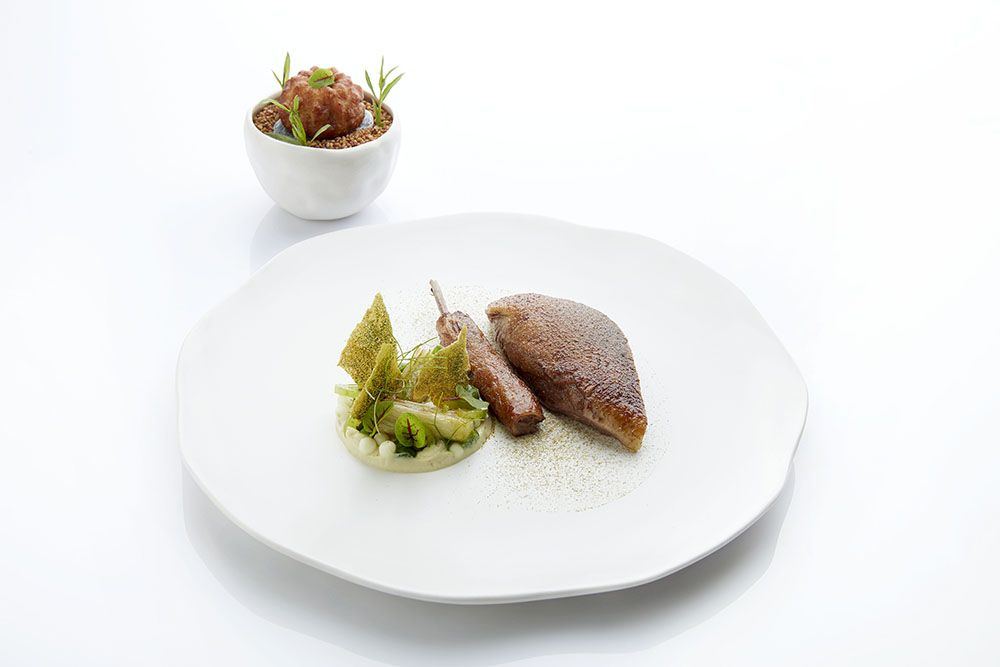 The Pigeon from Bresse