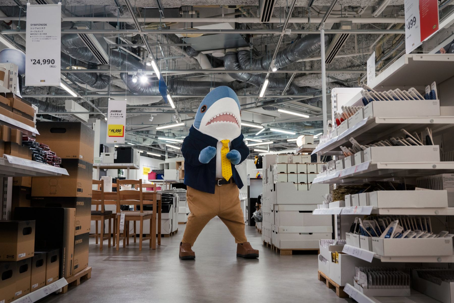 東京新宿3 5坪公寓月租24元台幣 Ikea爆紅鯊鯊成超佛心房東 Tatler Asia