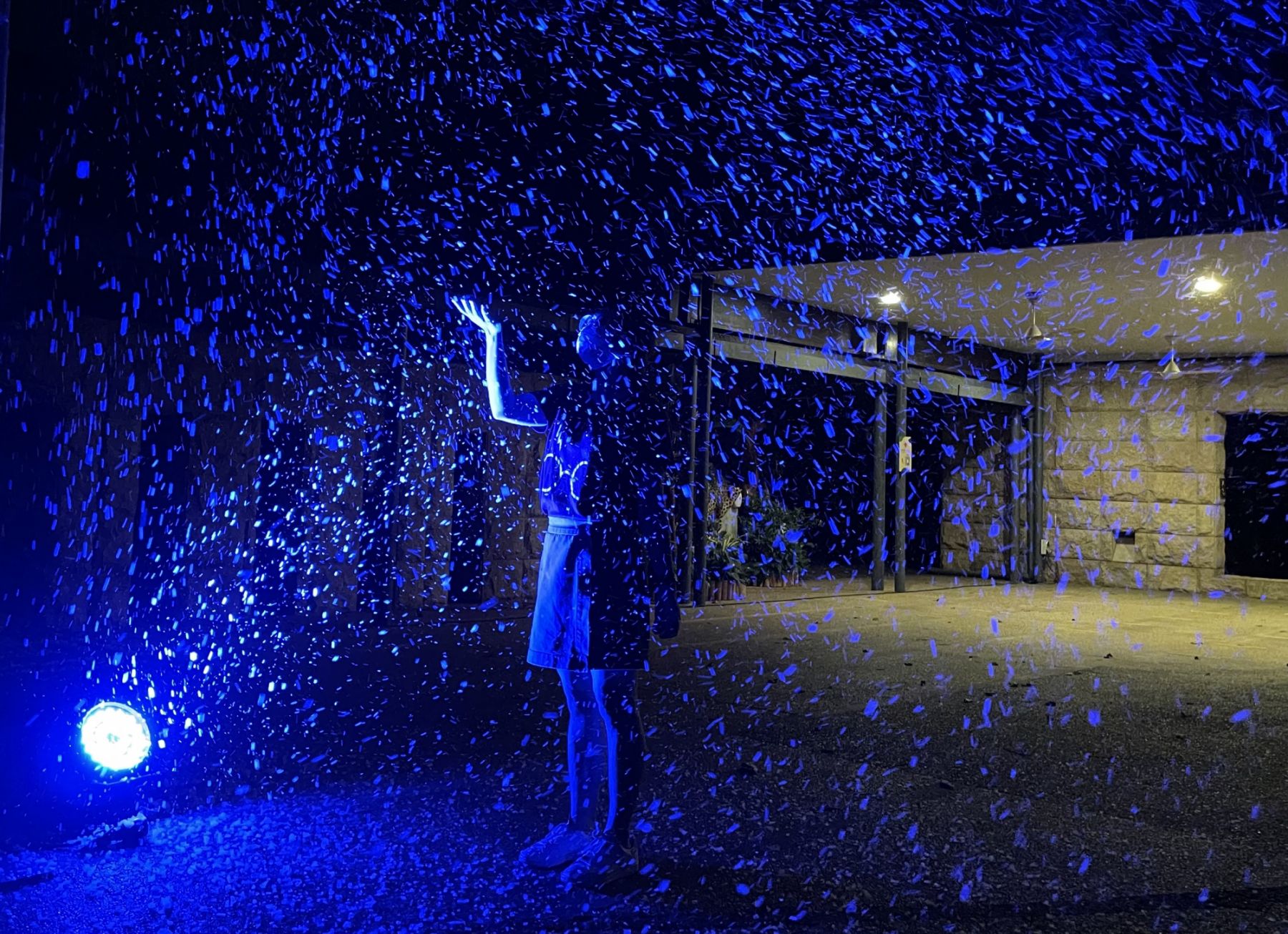 Rainforest Lumina