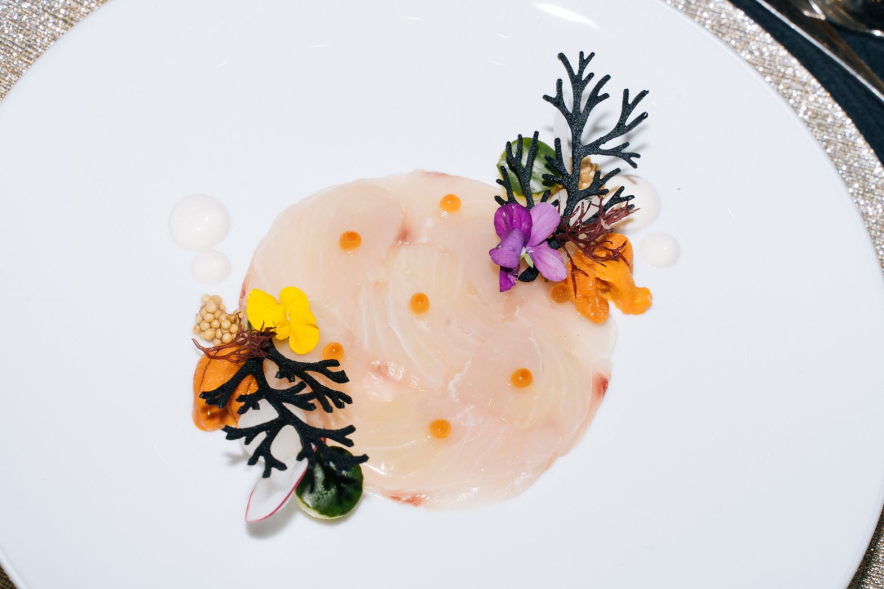 Torched Hamachi Crudo