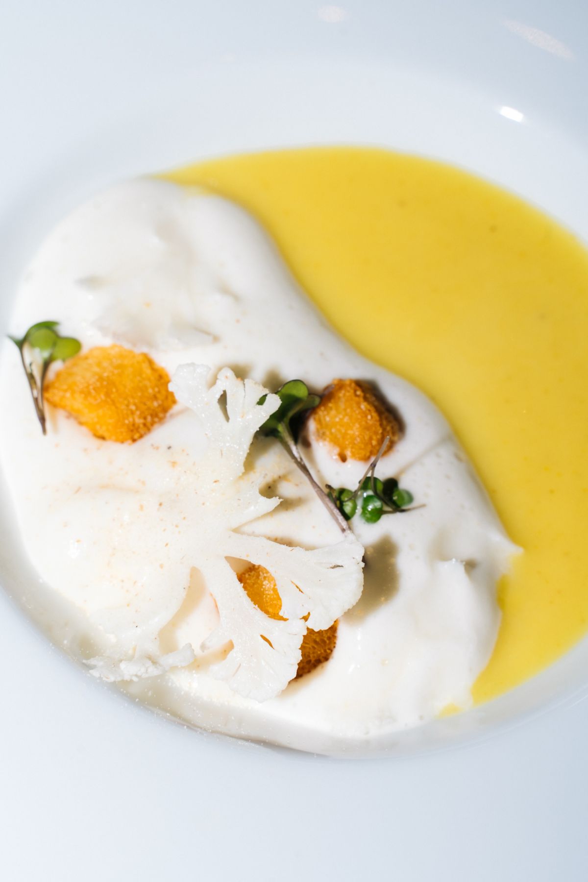 Potage of Dubarry