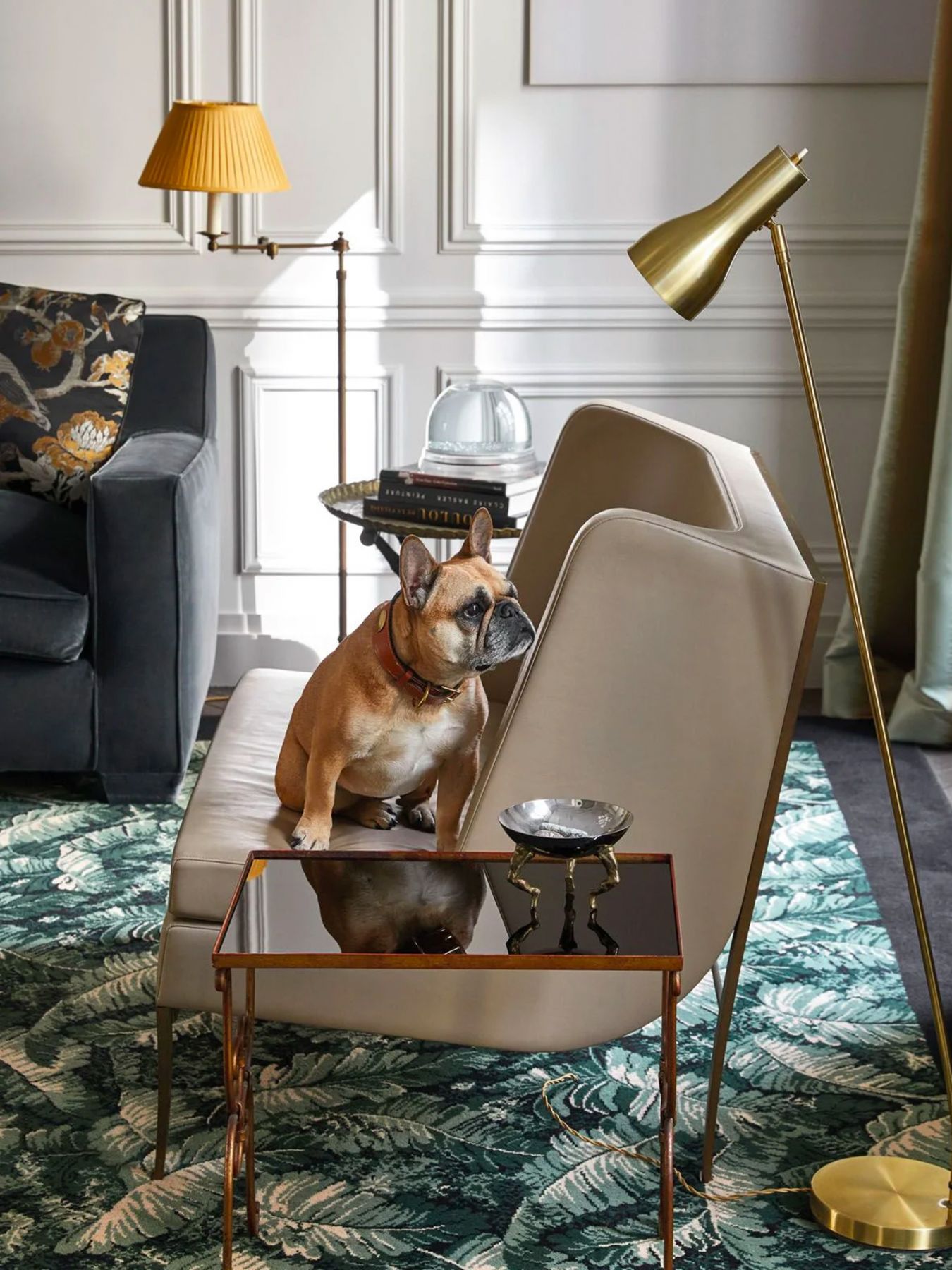 The family's cute pug often sits on an armchair in the living room (Photographed by Francis Amiand)