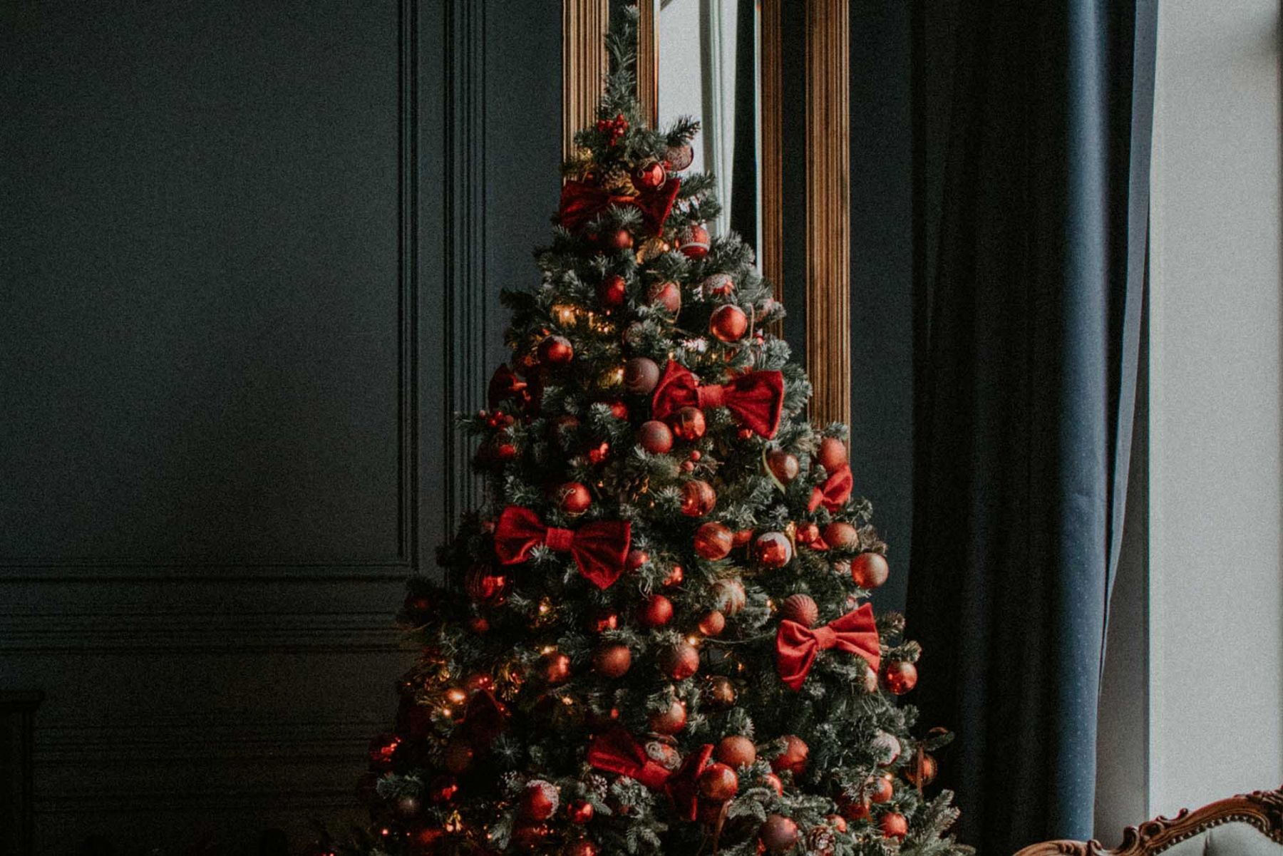 6 Best Places to Buy Christmas Trees In Singapore Tatler Asia