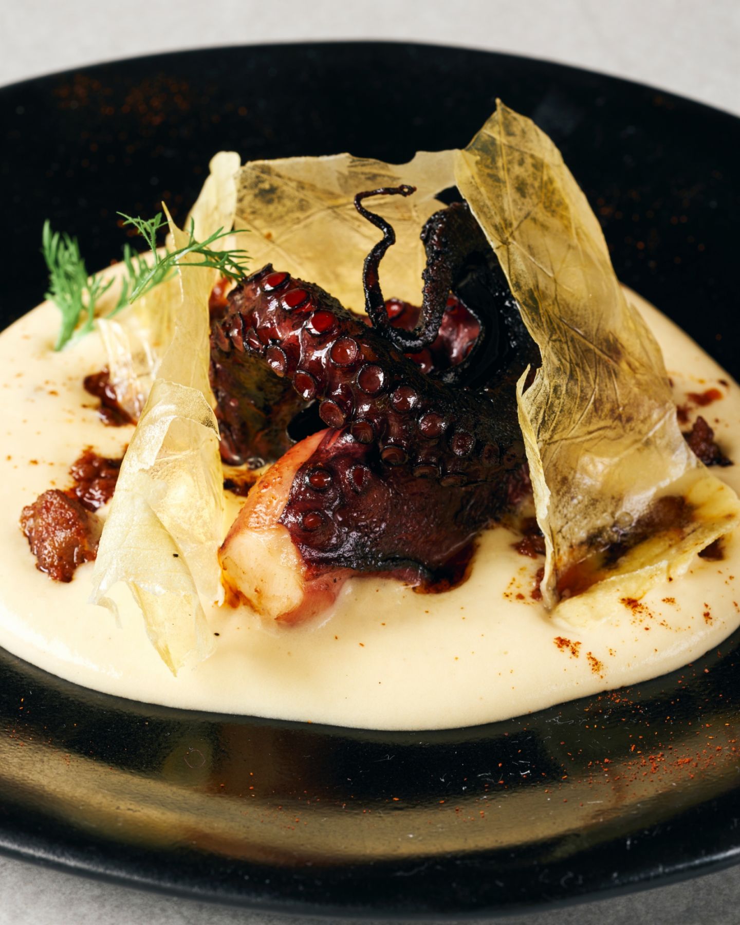 New Restaurant Opening Deo Gracias Takes Diners On A Gastronomic Trip