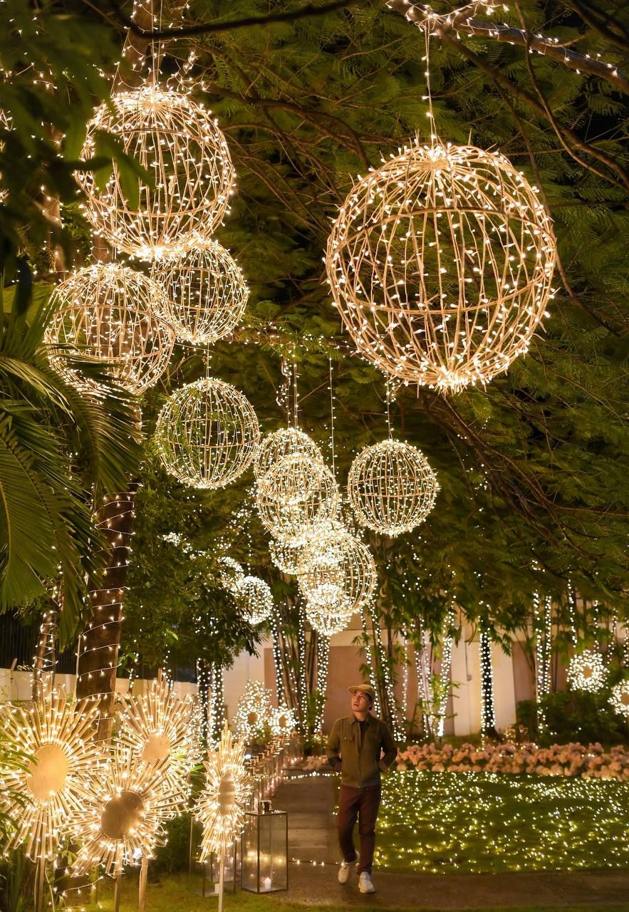The creative genius is surrounded by the bright and merry arrangement of lights he has styled
