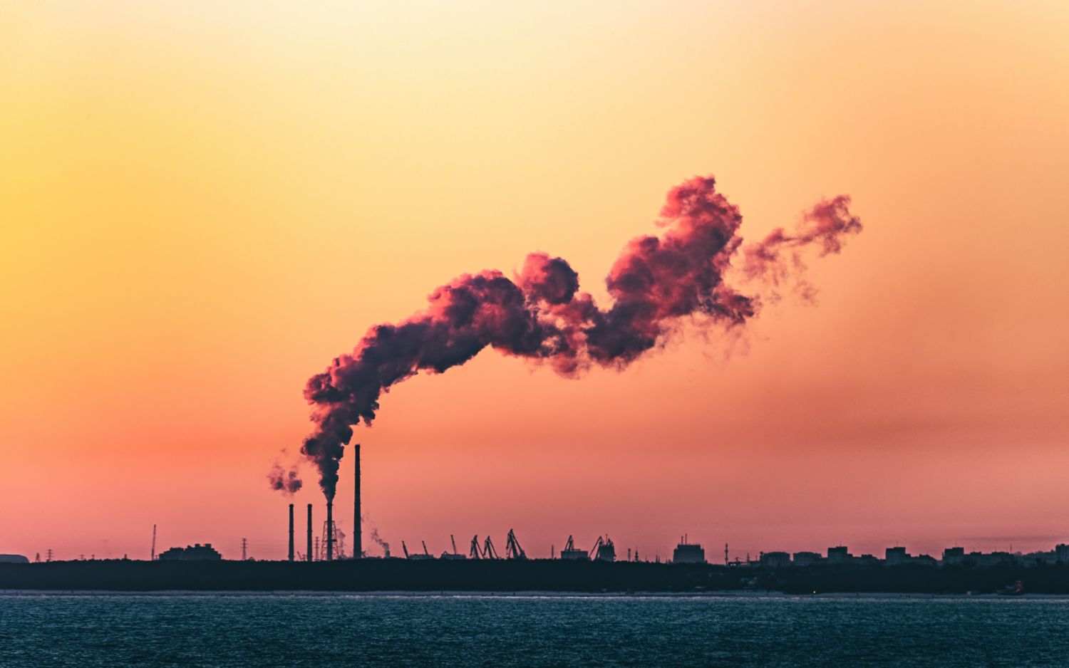 Photo by Marek Piwnicki Unsplash
