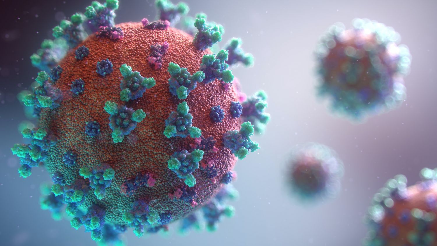 The Omicron is a more infectious strain of COVID-19 (Photo: Jeremy Bezanger/Unsplash)