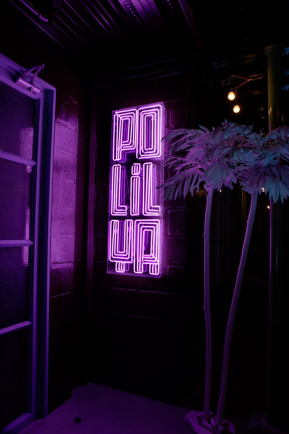 Polilya's iconic purple neon sign