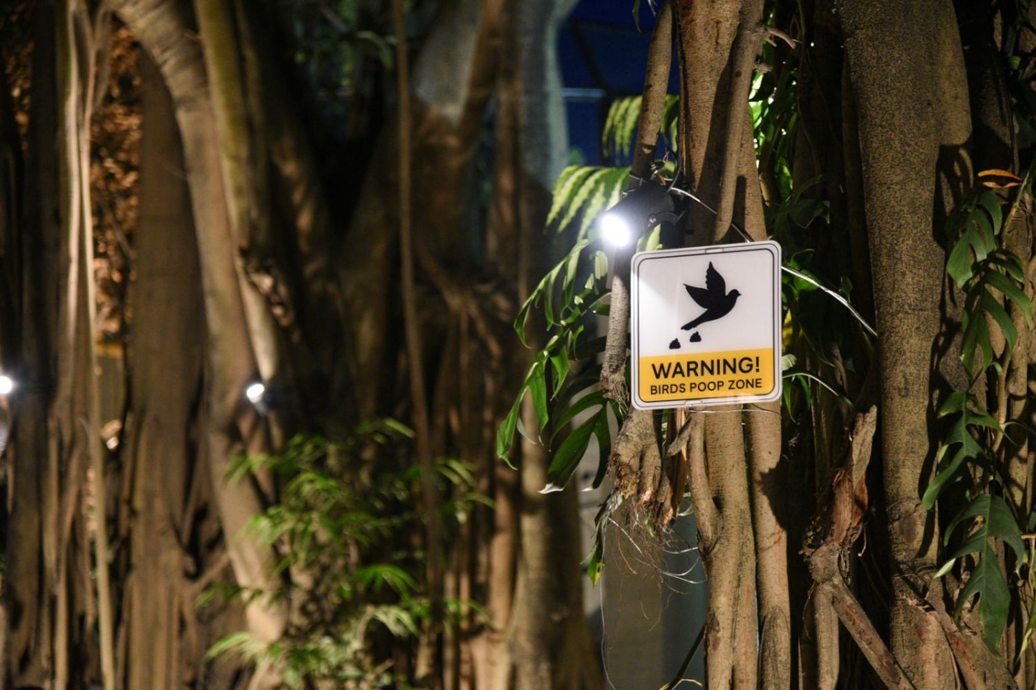 The newly-refurbished Manila Zoo (Photo: Manila Public Information Office (PIO)/Facebook)