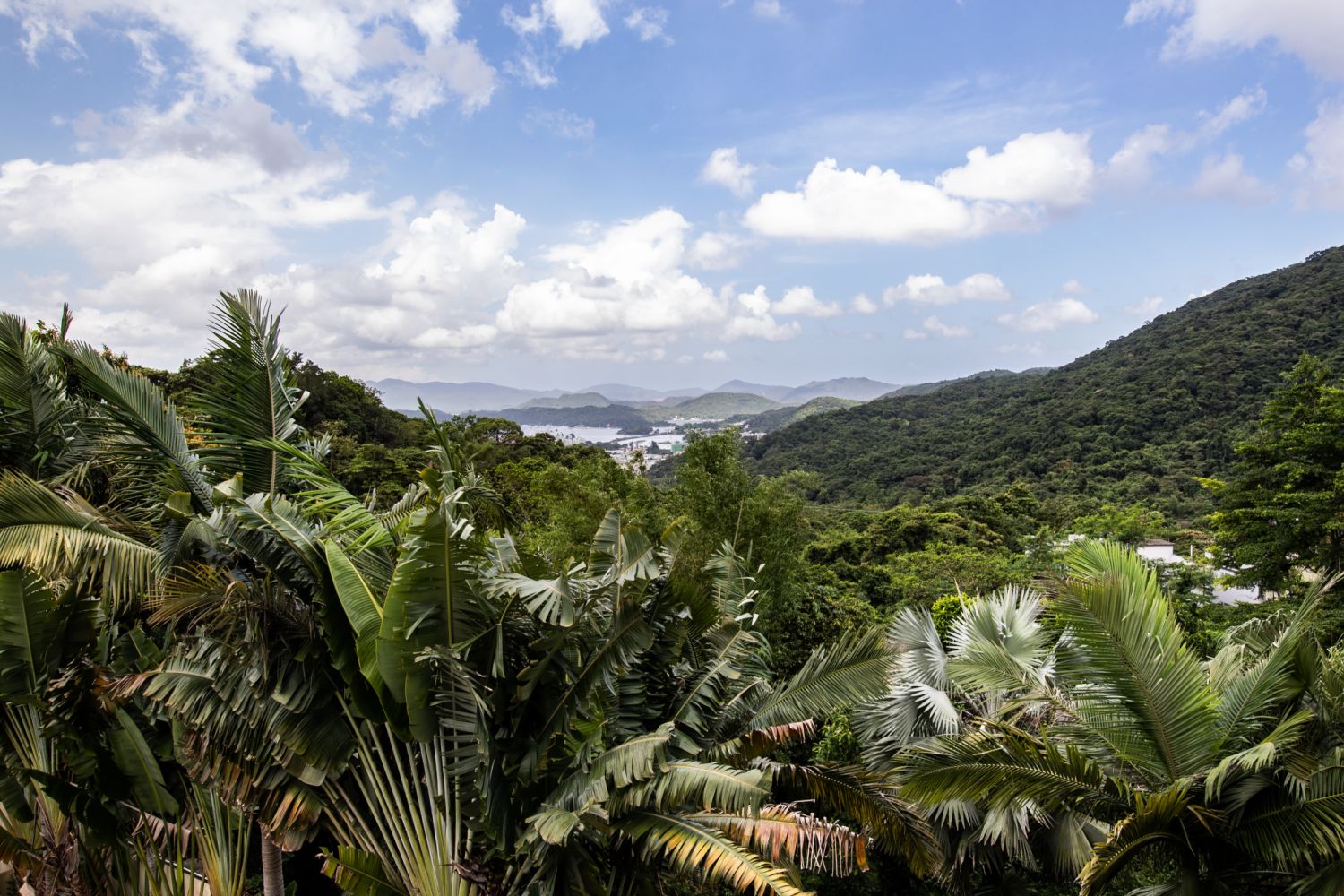 Tai Lam Wu, Sai Kung. Photo: Habitat Property