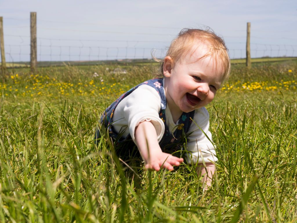 Baby girl crawling through the grass, UK. (Photo by: Nik Taylor/Education Images/Universal Images Group via Getty Images)